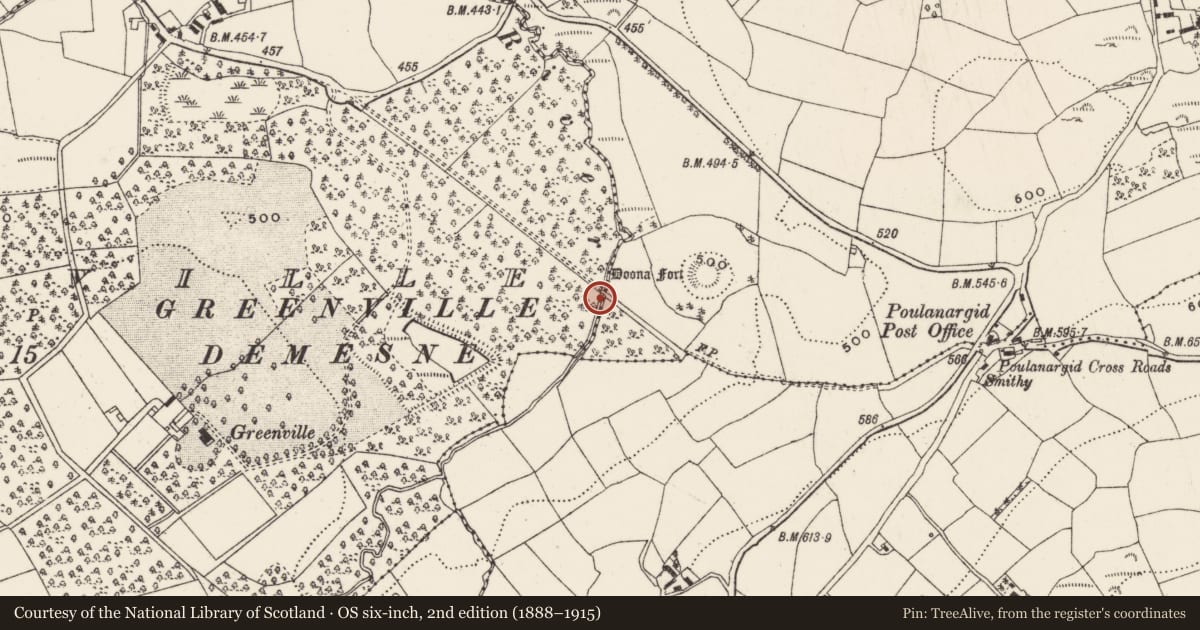 Ordnance Survey six-inch map, 2nd edition (1888–1915) covering the location of Bridge, Dunmarklun, County Cork, with a pin at the register's coordinates