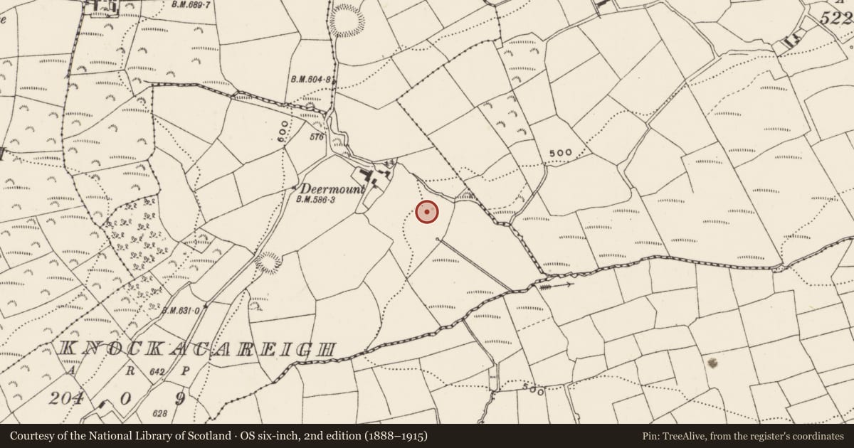 Ordnance Survey six-inch map, 2nd edition (1888–1915) covering the location of Fulacht fia, Knockacareigh, County Cork, with a pin at the register's coordinates