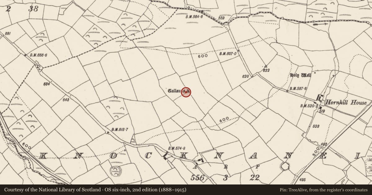Ordnance Survey six-inch map, 2nd edition (1888–1915) covering the location of Standing stone (present location), Knocknaneirk, County Cork, with a pin at the register's coordinates