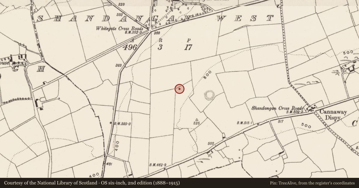 Ordnance Survey six-inch map, 2nd edition (1888–1915) covering the location of Souterrain, Shandangan West, County Cork, with a pin at the register's coordinates