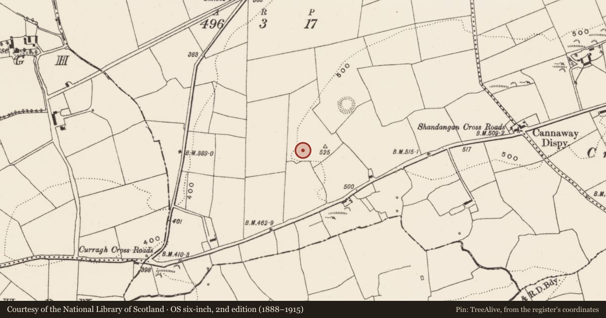 Ordnance Survey six-inch map, 2nd edition (1888–1915) covering the location of Burial ground, Shandangan West, County Cork, with a pin at the register's coordinates