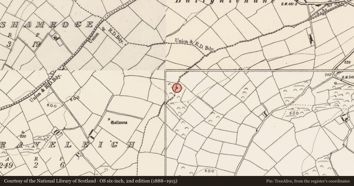 Ordnance Survey six-inch map, 2nd edition (1888–1915) covering the location of Fulacht fia, Farnanes, County Cork, with a pin at the register's coordinates