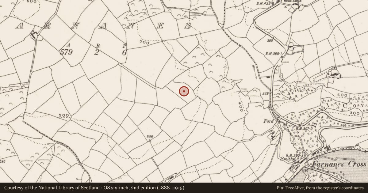 Ordnance Survey six-inch map, 2nd edition (1888–1915) covering the location of Burial ground, Farnanes, County Cork, with a pin at the register's coordinates