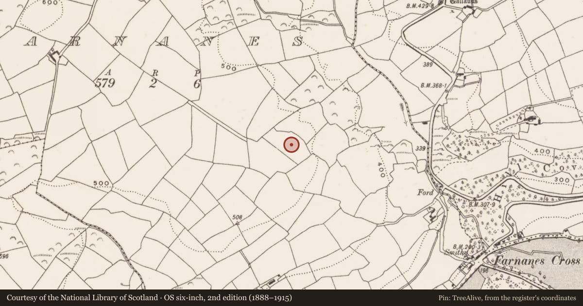 Ordnance Survey six-inch map, 2nd edition (1888–1915) covering the location of Church, Farnanes, County Cork, with a pin at the register's coordinates