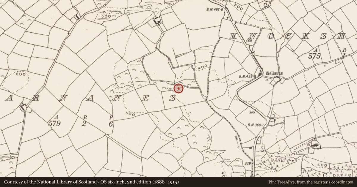 Ordnance Survey six-inch map, 2nd edition (1888–1915) covering the location of Fulacht fia, Farnanes, County Cork, with a pin at the register's coordinates