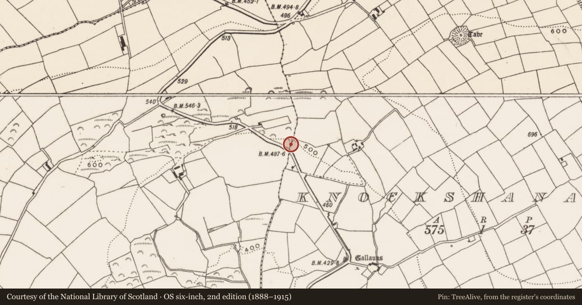 Ordnance Survey six-inch map, 2nd edition (1888–1915) covering the location of Fulacht fia, Knockshanawee, County Cork, with a pin at the register's coordinates