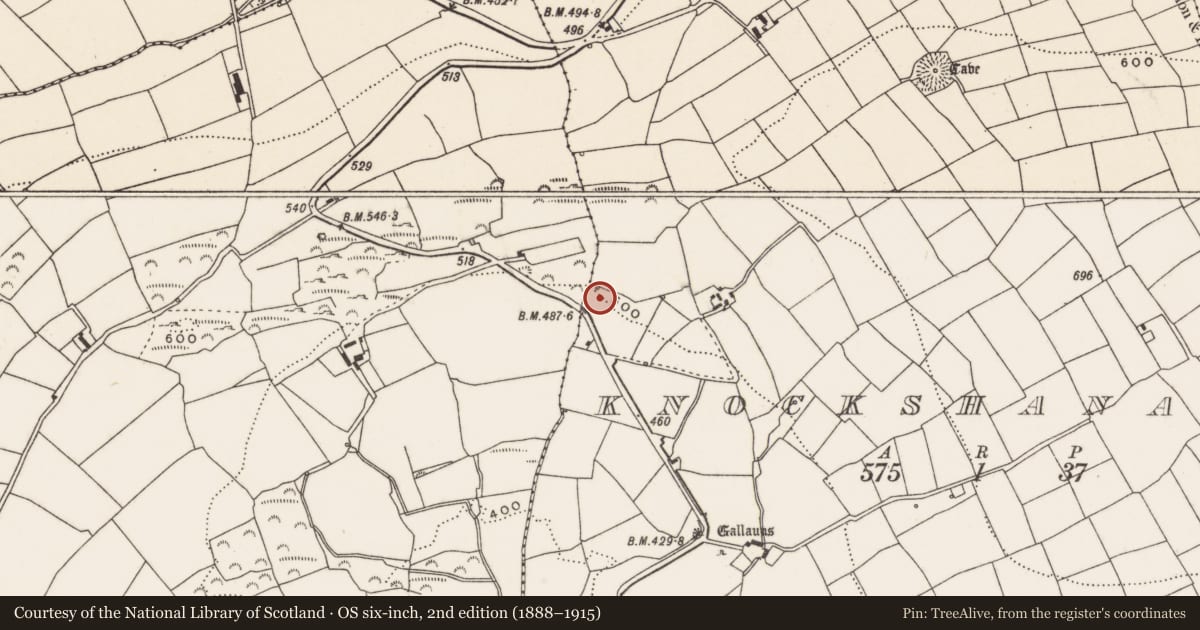 Ordnance Survey six-inch map, 2nd edition (1888–1915) covering the location of Fulacht fia, Knockshanawee, County Cork, with a pin at the register's coordinates