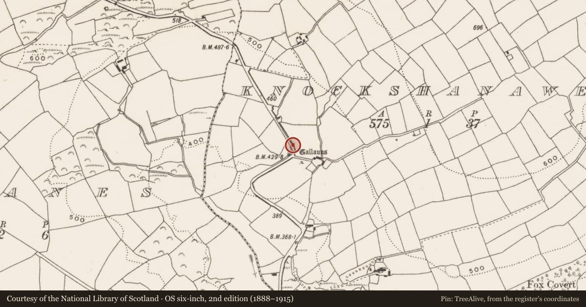 Ordnance Survey six-inch map, 2nd edition (1888–1915) covering the location of Anomalous stone group, Knockshanawee, County Cork, with a pin at the register's coordinates