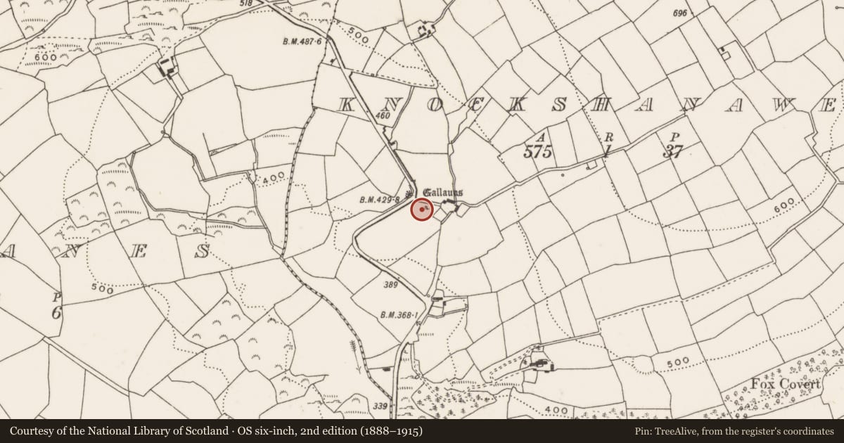 Ordnance Survey six-inch map, 2nd edition (1888–1915) covering the location of Standing stone, Knockshanawee, County Cork, with a pin at the register's coordinates