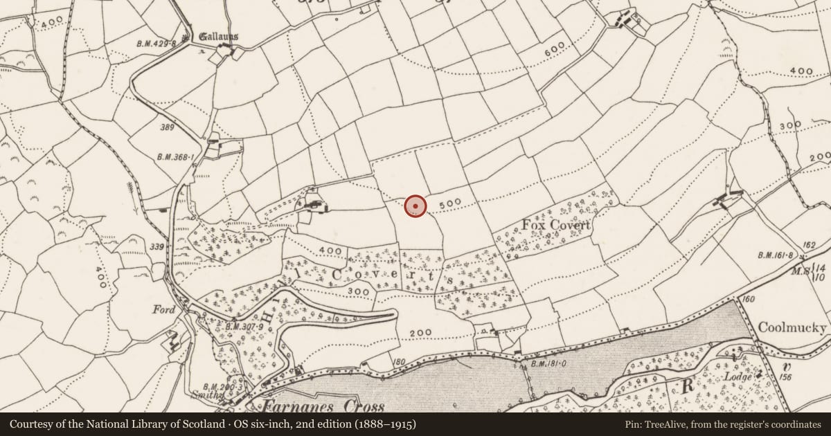 Ordnance Survey six-inch map, 2nd edition (1888–1915) covering the location of Ringfort - rath, Knockshanawee, County Cork, with a pin at the register's coordinates