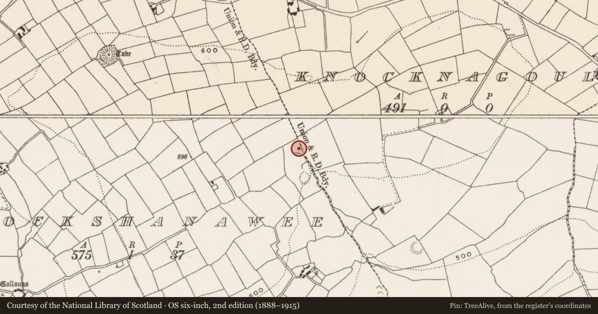 Ordnance Survey six-inch map, 2nd edition (1888–1915) covering the location of Fulacht fia, Knockshanawee, County Cork, with a pin at the register's coordinates