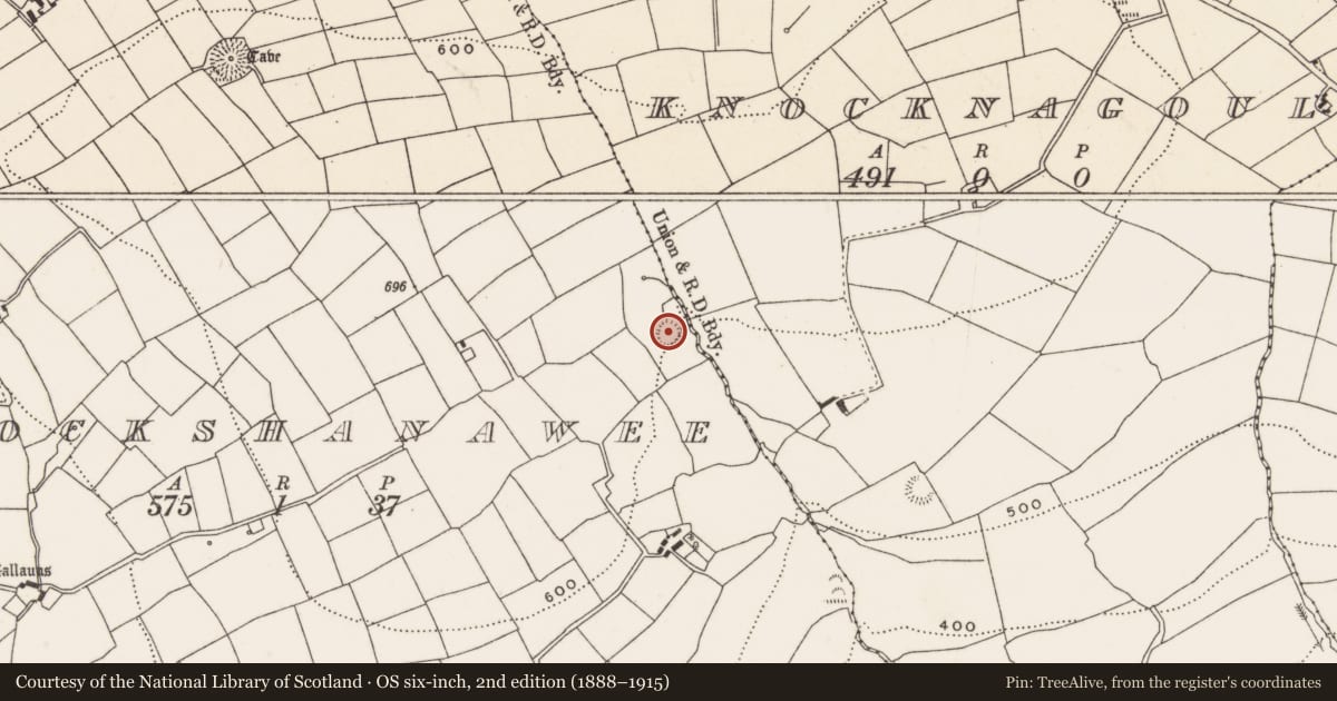 Ordnance Survey six-inch map, 2nd edition (1888–1915) covering the location of Ringfort - rath, Knockshanawee, County Cork, with a pin at the register's coordinates