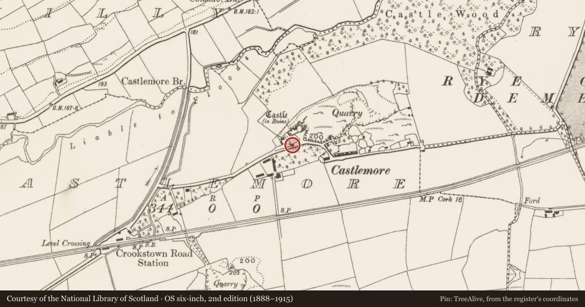 Ordnance Survey six-inch map, 2nd edition (1888–1915) covering the location of Kiln - lime, Castlemore, County Cork, with a pin at the register's coordinates