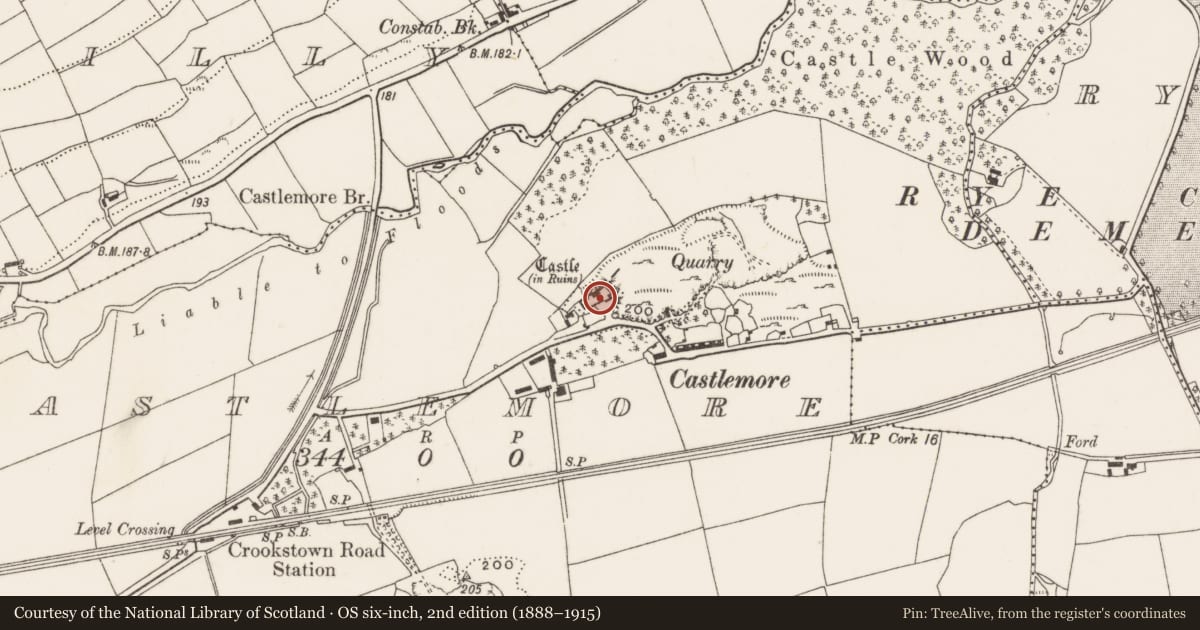 Ordnance Survey six-inch map, 2nd edition (1888–1915) covering the location of Bawn, Castlemore, County Cork, with a pin at the register's coordinates