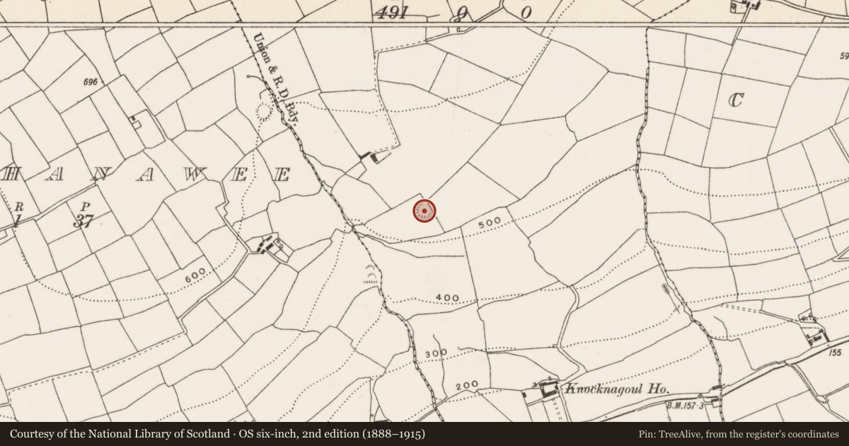 Ordnance Survey six-inch map, 2nd edition (1888–1915) covering the location of Ringfort - rath, Knocknagoul, County Cork, with a pin at the register's coordinates