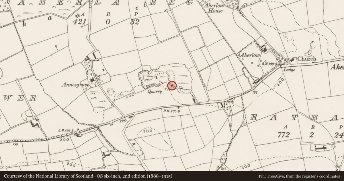 Ordnance Survey six-inch map, 2nd edition (1888–1915) covering the location of Kiln - lime, Aherla Beg, County Cork, with a pin at the register's coordinates