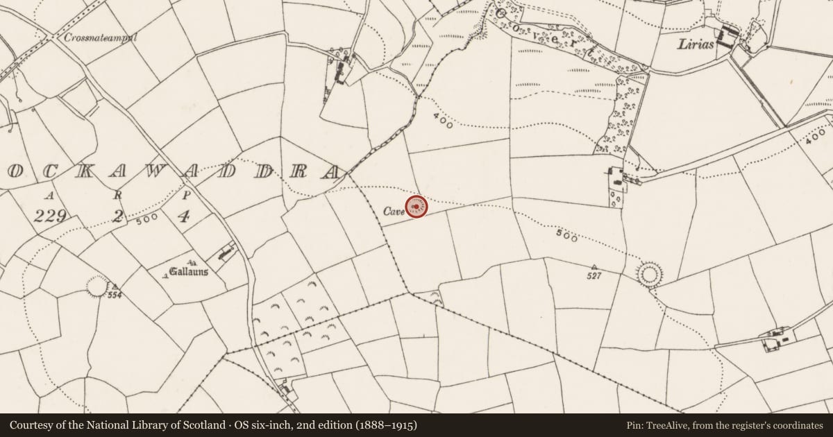 Ordnance Survey six-inch map, 2nd edition (1888–1915) covering the location of Ringfort - rath, Rathard, County Cork, with a pin at the register's coordinates