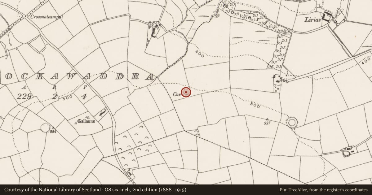 Ordnance Survey six-inch map, 2nd edition (1888–1915) covering the location of Souterrain, Rathard, County Cork, with a pin at the register's coordinates