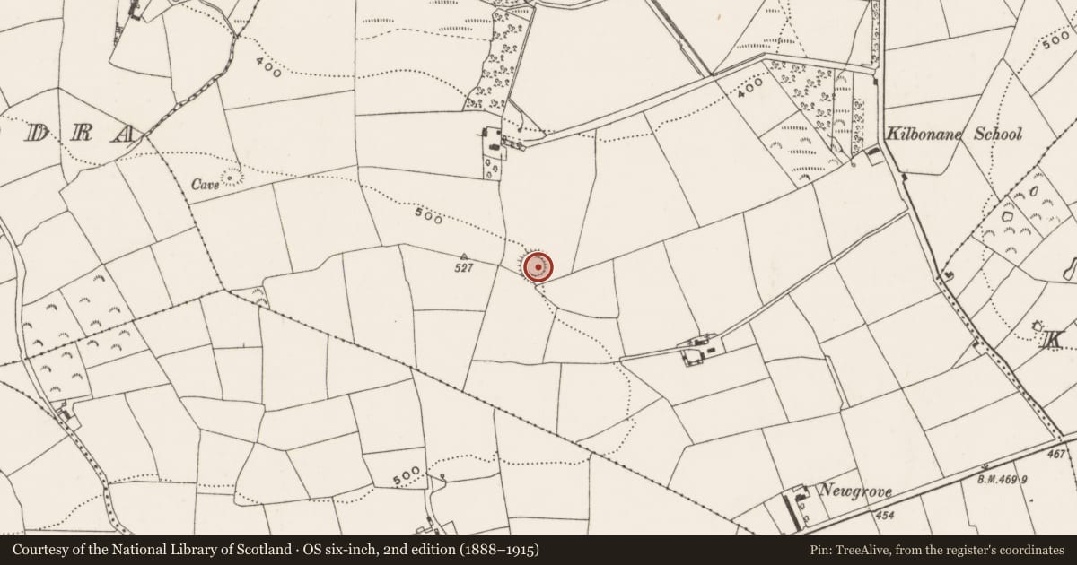 Ordnance Survey six-inch map, 2nd edition (1888–1915) covering the location of Ringfort - rath, Rathard, County Cork, with a pin at the register's coordinates