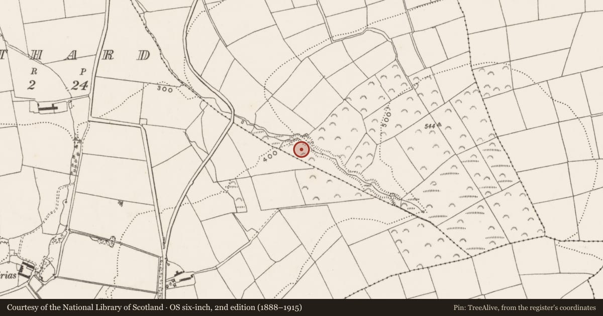Ordnance Survey six-inch map, 2nd edition (1888–1915) covering the location of Bullaun stone, Aherla More, County Cork, with a pin at the register's coordinates