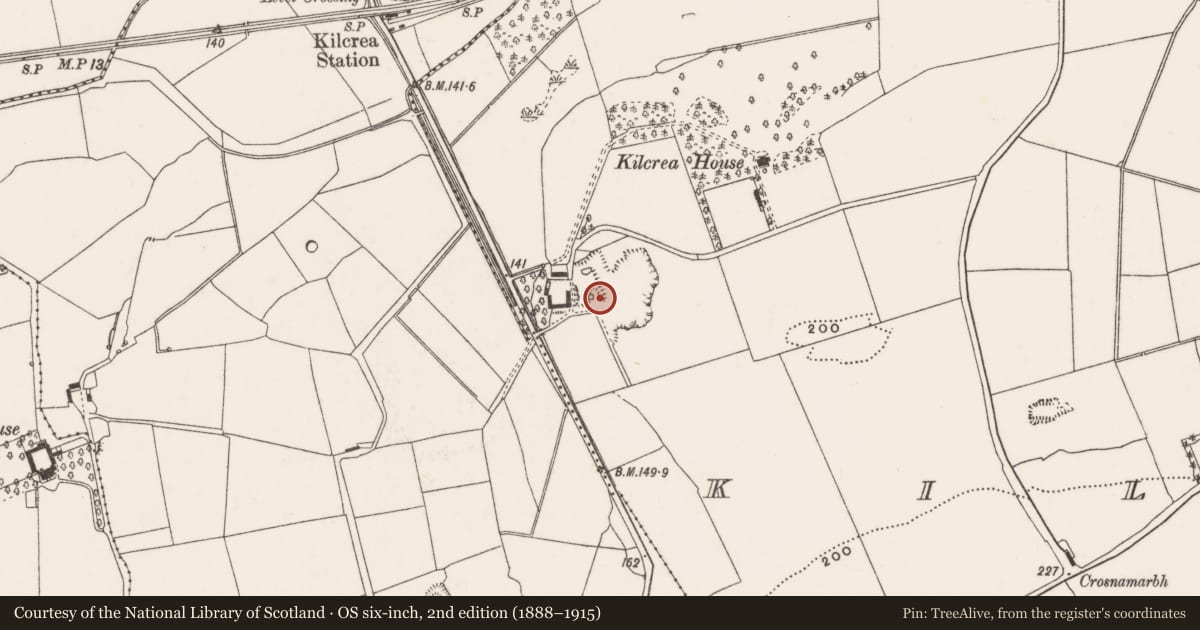 Ordnance Survey six-inch map, 2nd edition (1888–1915) covering the location of Kiln - lime, Kilcrea, County Cork, with a pin at the register's coordinates