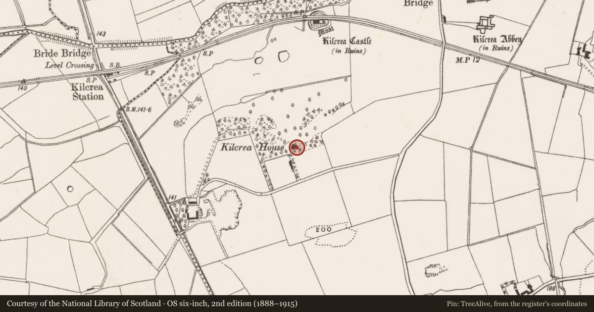 Ordnance Survey six-inch map, 2nd edition (1888–1915) covering the location of Country house, Kilcrea, County Cork, with a pin at the register's coordinates