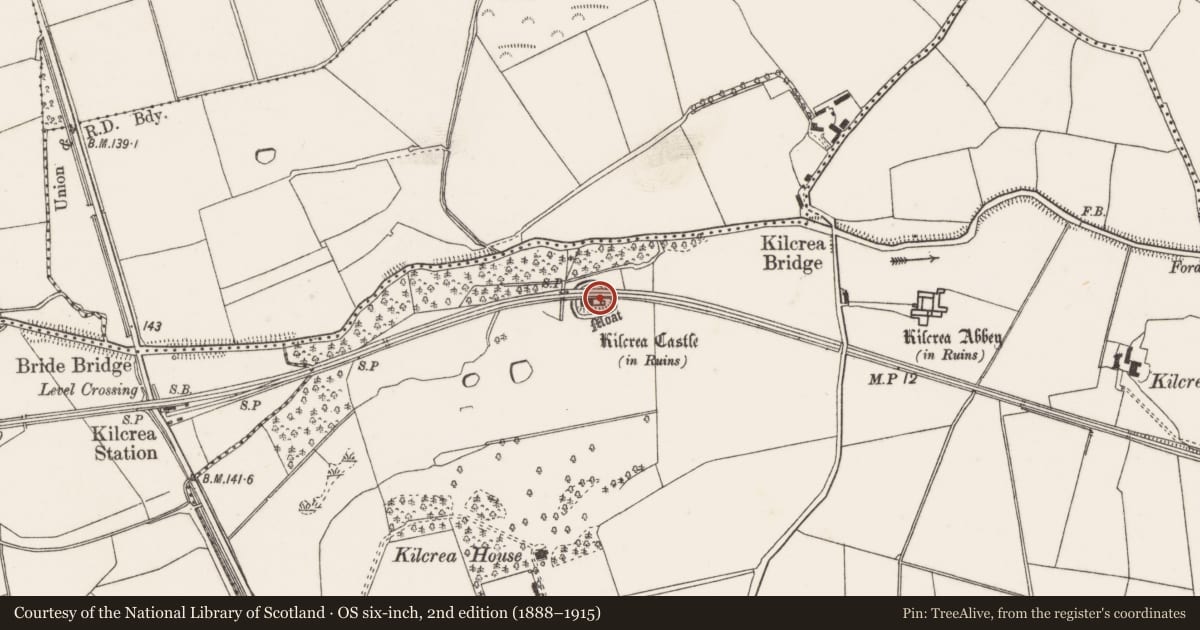 Ordnance Survey six-inch map, 2nd edition (1888–1915) covering the location of Castle - tower house, Kilcrea, County Cork, with a pin at the register's coordinates