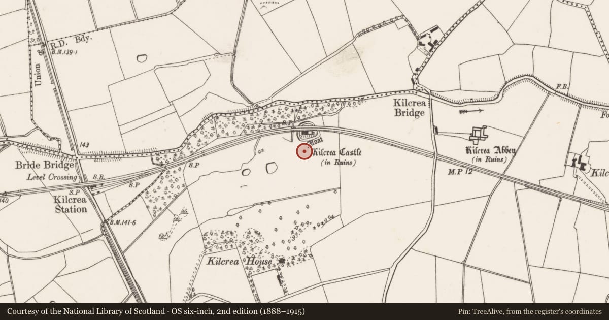 Ordnance Survey six-inch map, 2nd edition (1888–1915) covering the location of Earthwork, Kilcrea, County Cork, with a pin at the register's coordinates