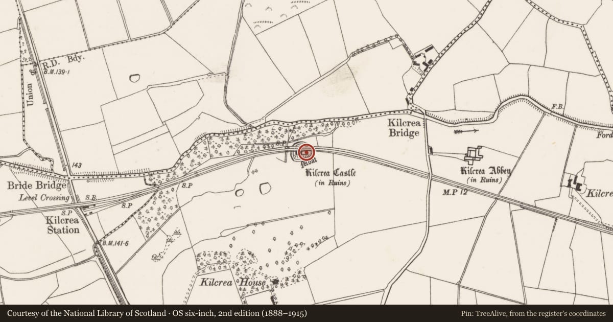 Ordnance Survey six-inch map, 2nd edition (1888–1915) covering the location of Bawn, Kilcrea, County Cork, with a pin at the register's coordinates