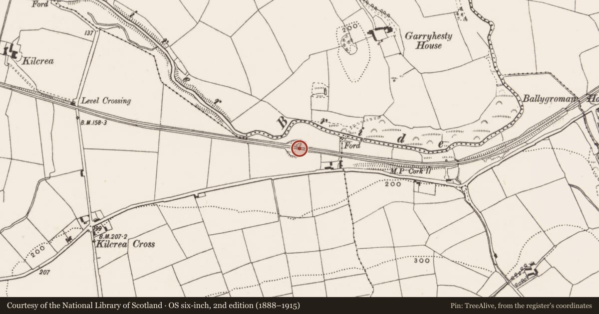 Ordnance Survey six-inch map, 2nd edition (1888–1915) covering the location of Souterrain, Kilcrea, County Cork, with a pin at the register's coordinates