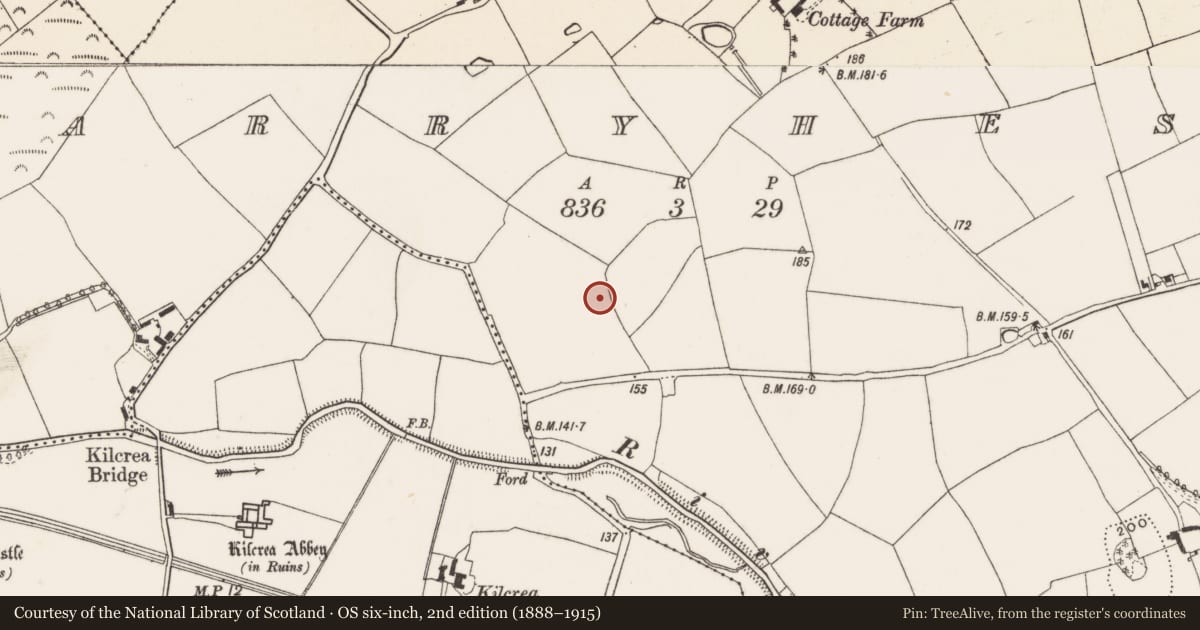 Ordnance Survey six-inch map, 2nd edition (1888–1915) covering the location of Standing stone - pair, Garryhesty, County Cork, with a pin at the register's coordinates
