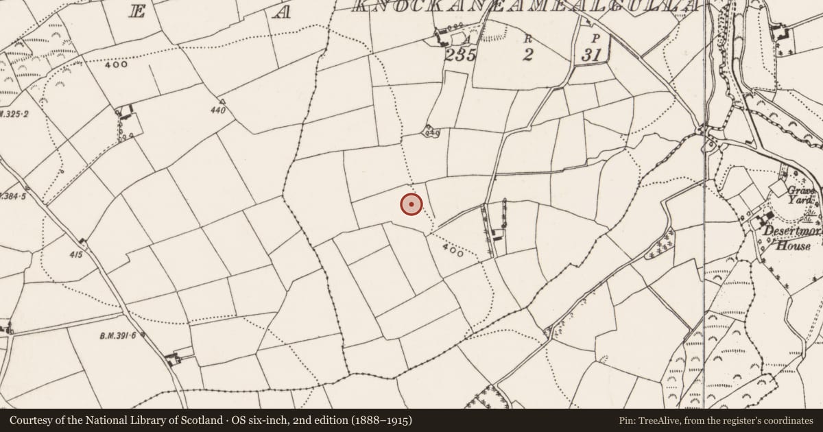 Ordnance Survey six-inch map, 2nd edition (1888–1915) covering the location of Fulacht fia, Knockaneamealgulla, County Cork, with a pin at the register's coordinates