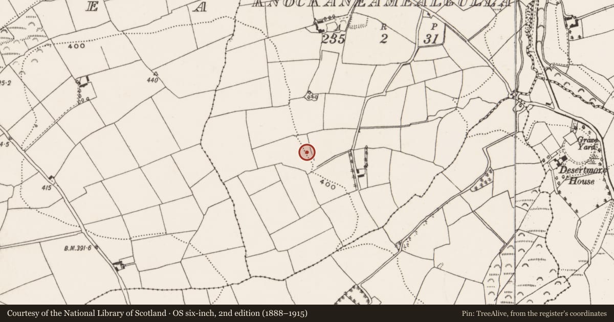 Ordnance Survey six-inch map, 2nd edition (1888–1915) covering the location of Fulacht fia, Knockaneamealgulla, County Cork, with a pin at the register's coordinates