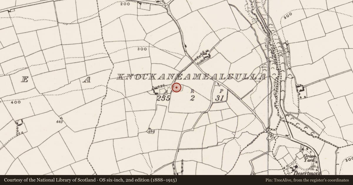Ordnance Survey six-inch map, 2nd edition (1888–1915) covering the location of Moated site, Knockaneamealgulla, County Cork, with a pin at the register's coordinates