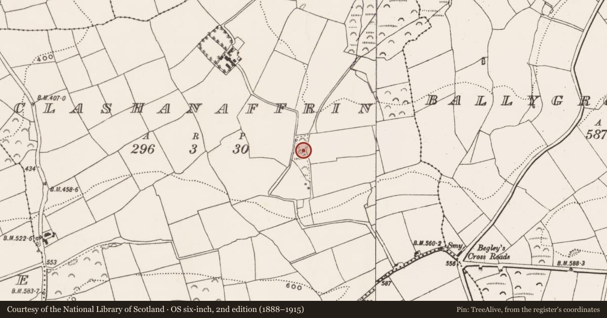 Ordnance Survey six-inch map, 2nd edition (1888–1915) covering the location of Fulacht fia, Clashanaffrin, County Cork, with a pin at the register's coordinates