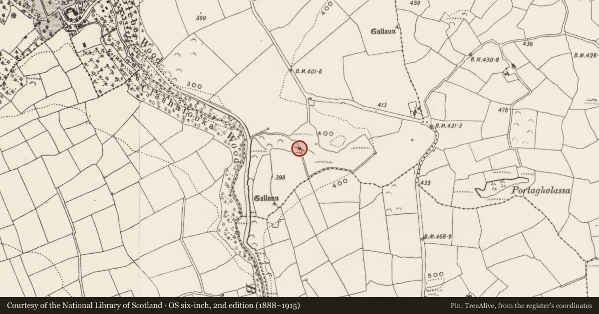 Ordnance Survey six-inch map, 2nd edition (1888–1915) covering the location of Fulacht fia, Garranenamuddagh, County Cork, with a pin at the register's coordinates