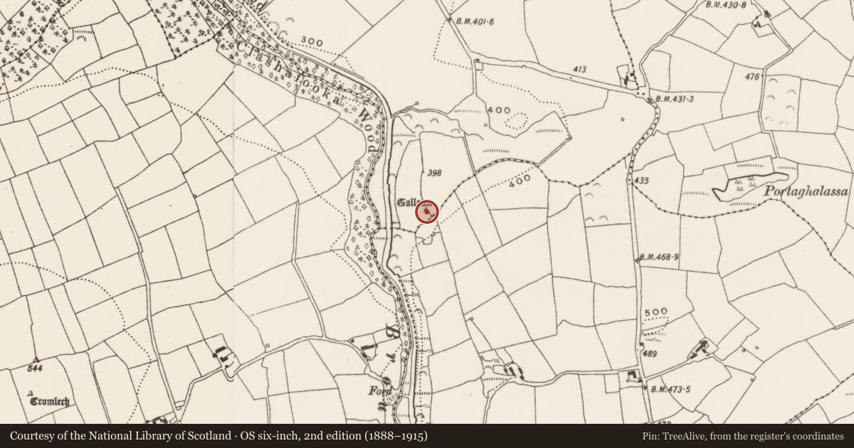 Ordnance Survey six-inch map, 2nd edition (1888–1915) covering the location of Standing stone, Garranenamuddagh, County Cork, with a pin at the register's coordinates