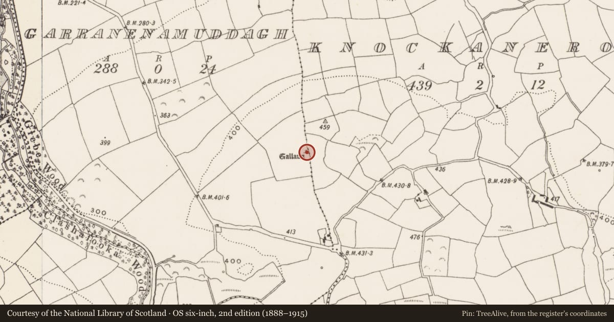 Ordnance Survey six-inch map, 2nd edition (1888–1915) covering the location of Standing stone - pair, Garranenamuddagh, County Cork, with a pin at the register's coordinates
