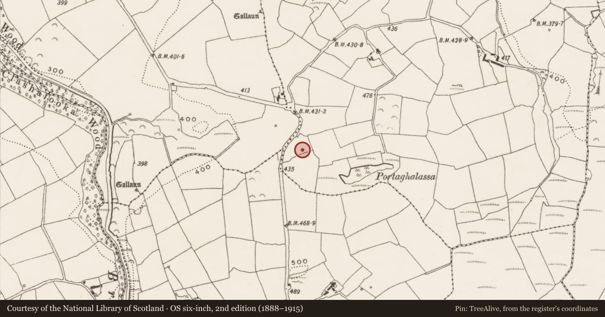Ordnance Survey six-inch map, 2nd edition (1888–1915) covering the location of Moated site, Knockaneroe, County Cork, with a pin at the register's coordinates
