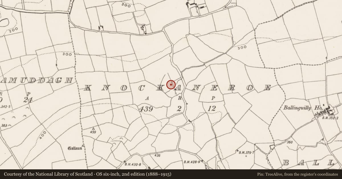 Ordnance Survey six-inch map, 2nd edition (1888–1915) covering the location of Fulacht fia, Knockaneroe, County Cork, with a pin at the register's coordinates
