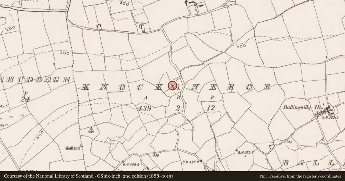 Ordnance Survey six-inch map, 2nd edition (1888–1915) covering the location of Fulacht fia, Knockaneroe, County Cork, with a pin at the register's coordinates