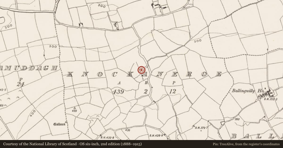 Ordnance Survey six-inch map, 2nd edition (1888–1915) covering the location of Fulacht fia, Knockaneroe, County Cork, with a pin at the register's coordinates