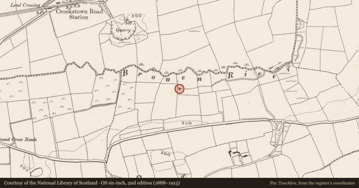 Ordnance Survey six-inch map, 2nd edition (1888–1915) covering the location of Standing stone, Knockaneroe, County Cork, with a pin at the register's coordinates