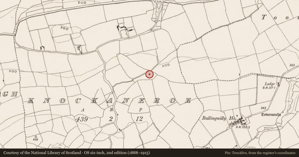Ordnance Survey six-inch map, 2nd edition (1888–1915) covering the location of Fulacht fia, Knockaneroe, County Cork, with a pin at the register's coordinates
