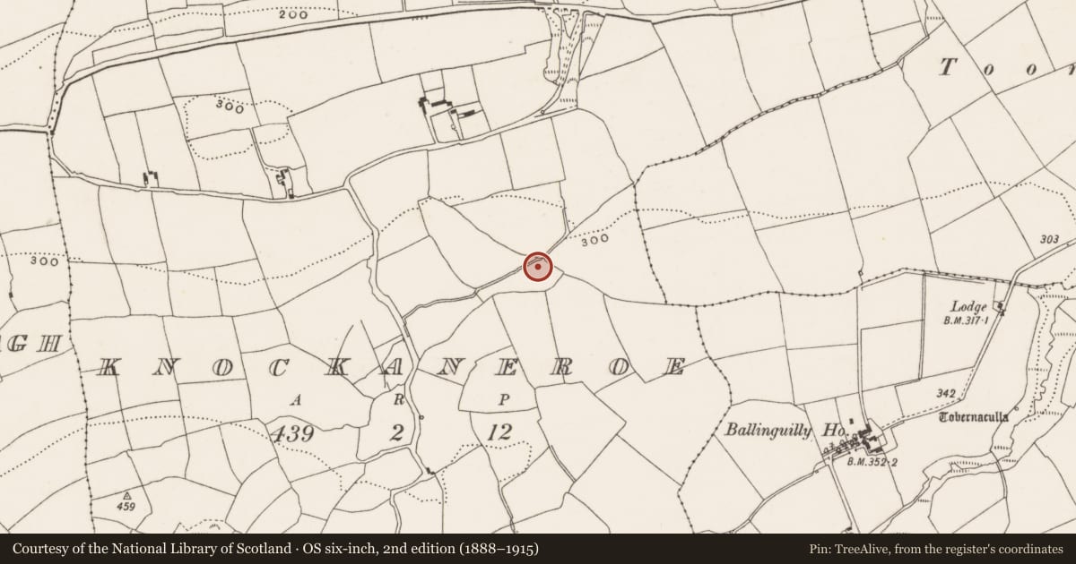 Ordnance Survey six-inch map, 2nd edition (1888–1915) covering the location of Fulacht fia, Knockaneroe, County Cork, with a pin at the register's coordinates