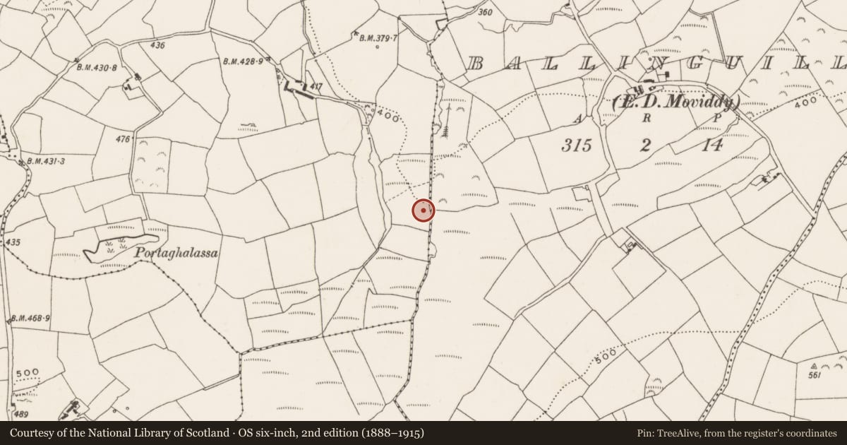 Ordnance Survey six-inch map, 2nd edition (1888–1915) covering the location of Fulacht fia, Knockaneroe, County Cork, with a pin at the register's coordinates