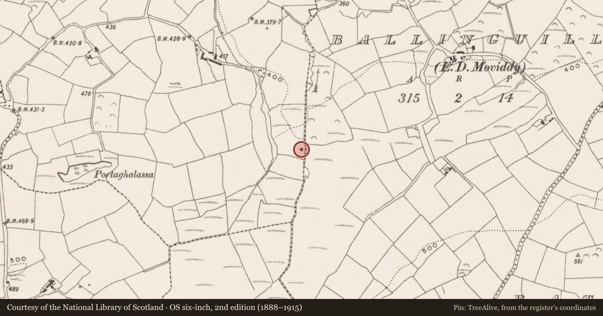 Ordnance Survey six-inch map, 2nd edition (1888–1915) covering the location of Fulacht fia, Knockaneroe, County Cork, with a pin at the register's coordinates