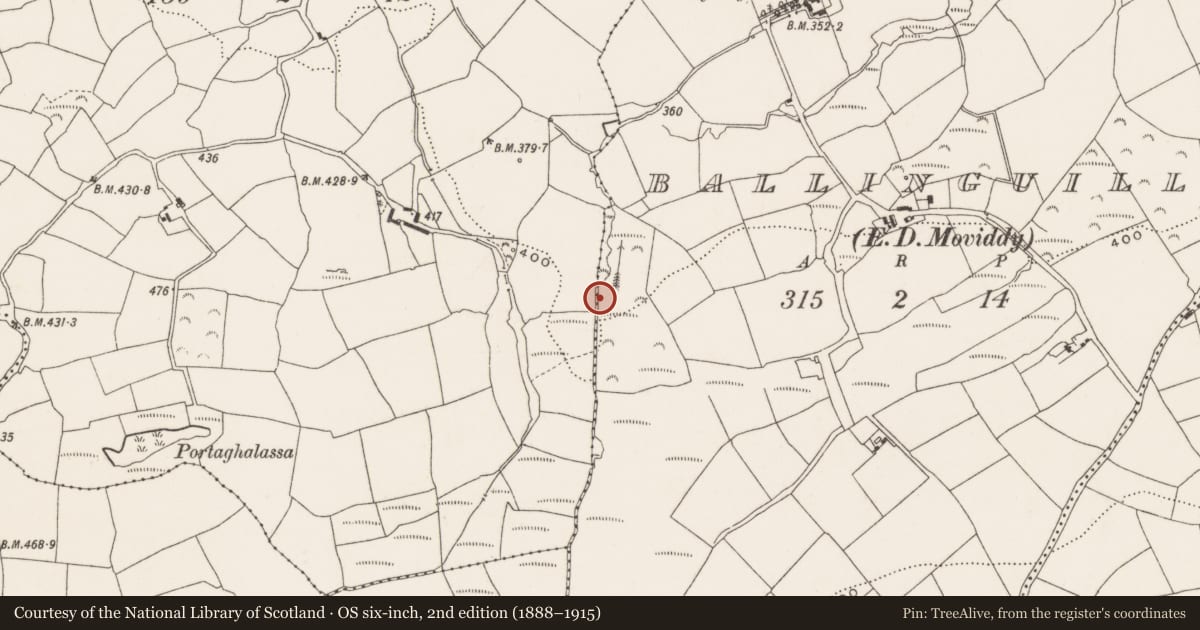 Ordnance Survey six-inch map, 2nd edition (1888–1915) covering the location of Fulacht fia, Ballinguilly (Muskerry East By., Moviddy Par.), County Cork, with a pin at the register's coordinates