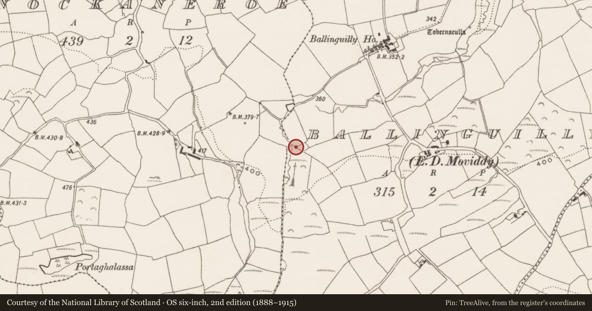 Ordnance Survey six-inch map, 2nd edition (1888–1915) covering the location of Fulacht fia, Ballinguilly (Muskerry East By., Moviddy Par.), County Cork, with a pin at the register's coordinates