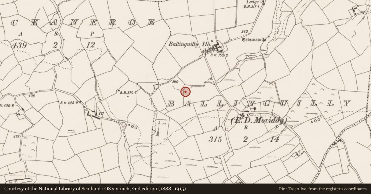 Ordnance Survey six-inch map, 2nd edition (1888–1915) covering the location of Fulacht fia, Ballinguilly (Muskerry East By., Moviddy Par.), County Cork, with a pin at the register's coordinates